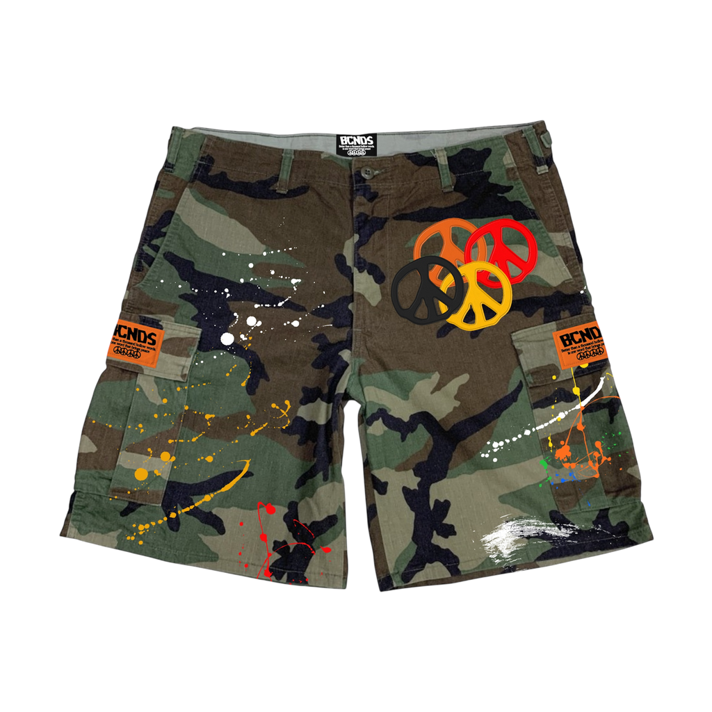 BCNDS Cargos
